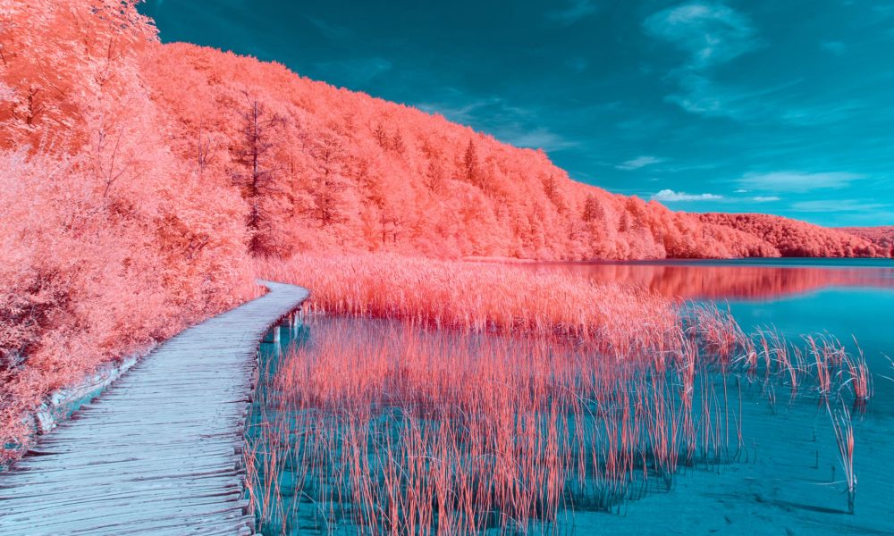 Pantone Living Coral – Peppermint magazine