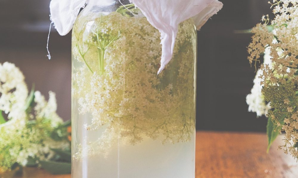 Milkwood - Elderflower Soda