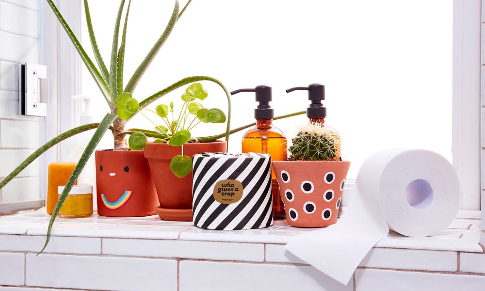 Peppermint-Toilet-Roll-DIY-Who-Gives-A-Crap-2