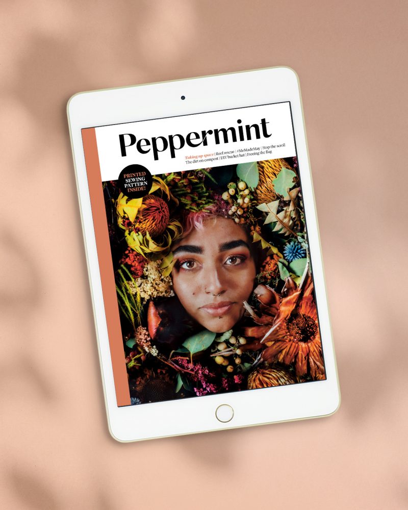 Peppermint53-iPad.jpg