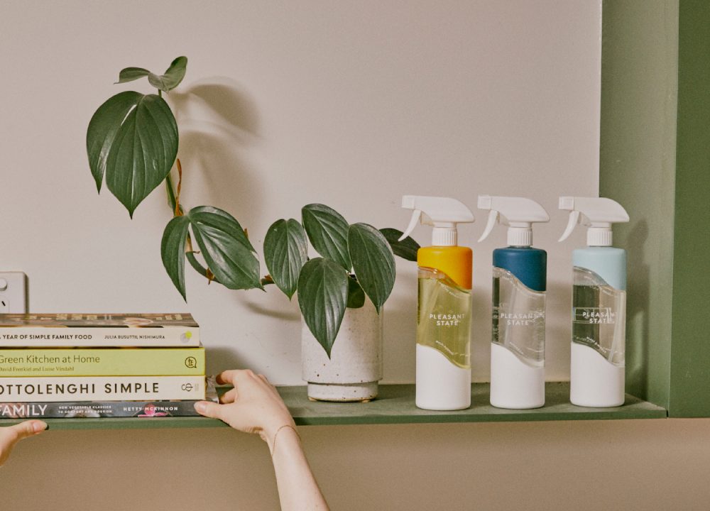 Plastic-Free-July-Cleaning