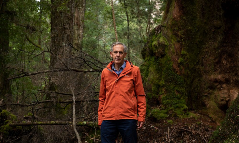 Pmint-Bob-Brown-Giants-01