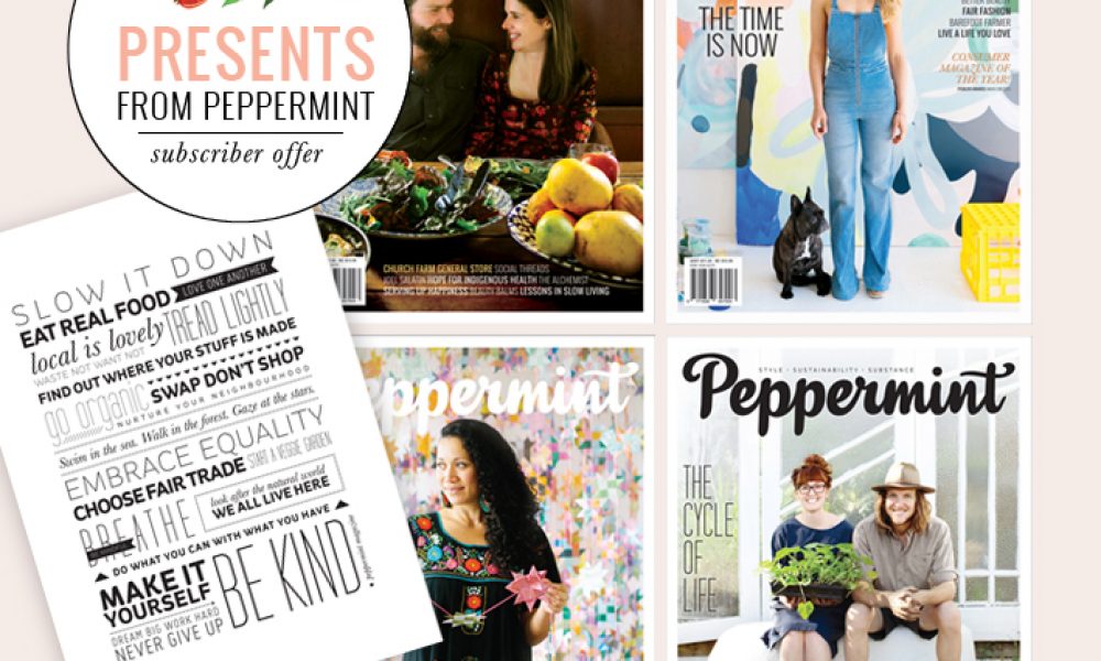 PmintSubscriberOffer