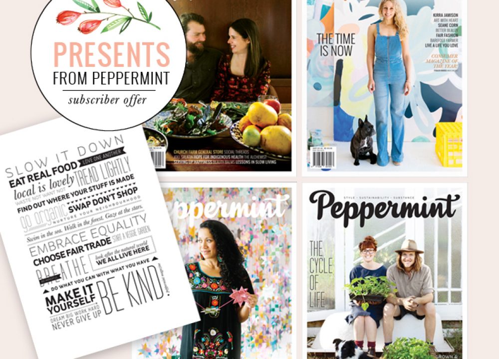 PmintSubscriberOffer