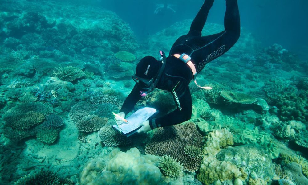 RRF - Monitoring Planting Areas