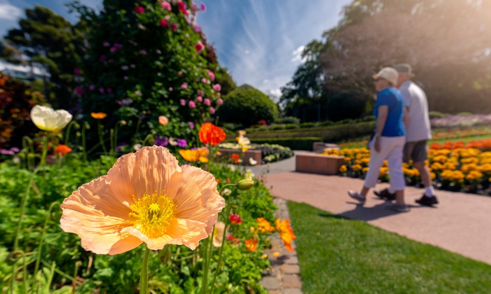 Roma-Street-Parkland-Spring-Showcase-5