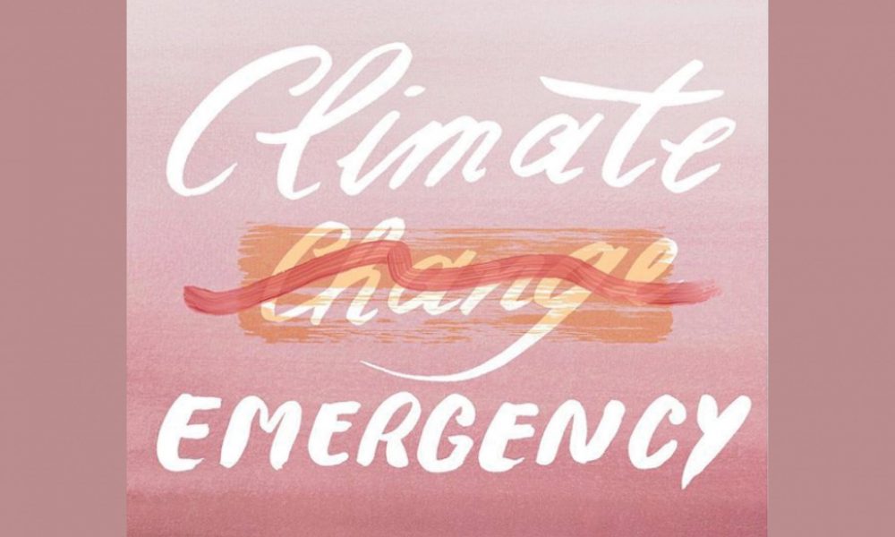 Climate Emergency Seljak brand