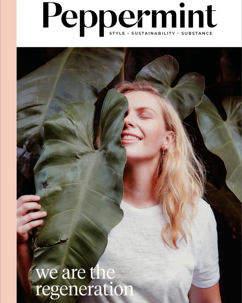 Shop-Issue44.jpg