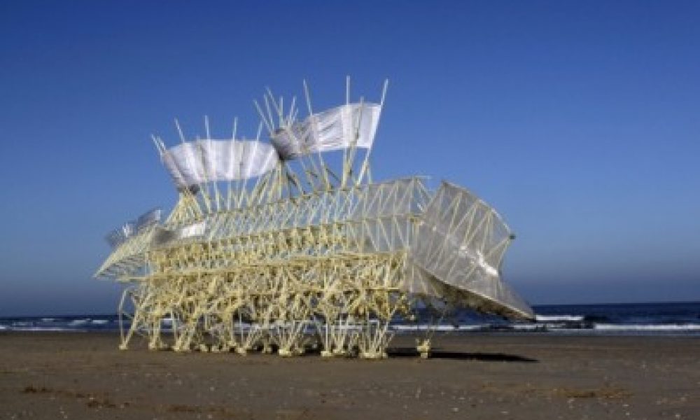 Strandbeest2