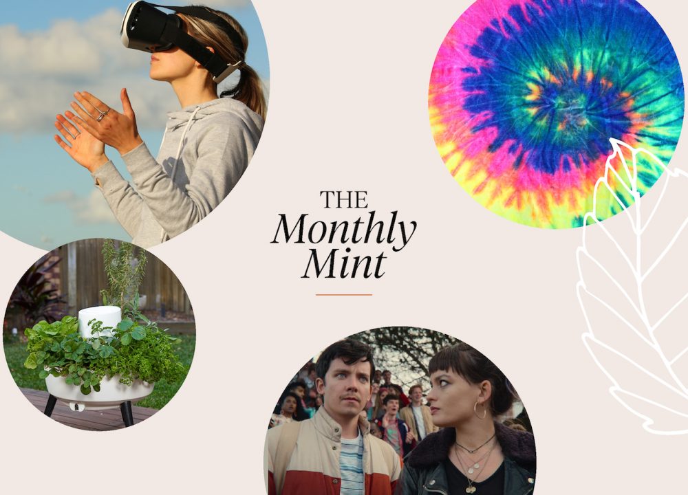 The Monthly Mint - November