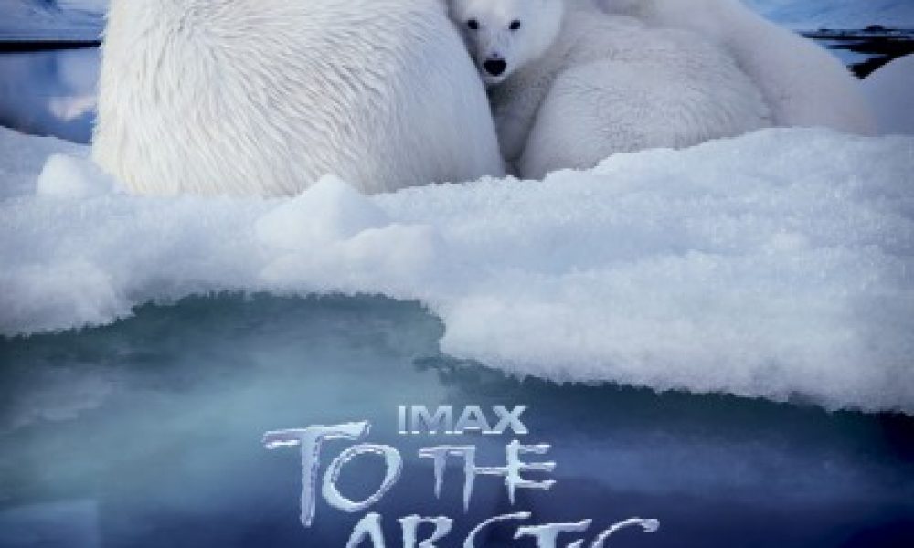 To The Arctic