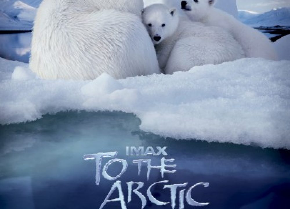 To The Arctic