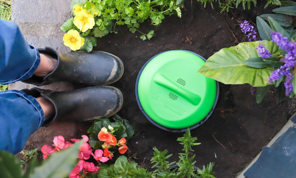 Tumbleweed-Compost-Myths-1