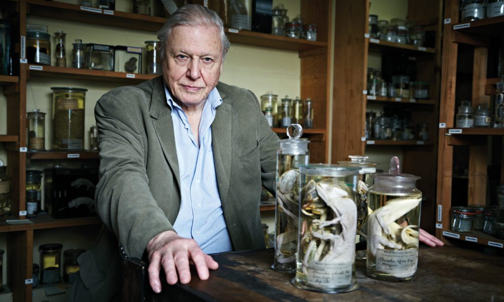 David Attenborough Peppermint Magazine Population Growth