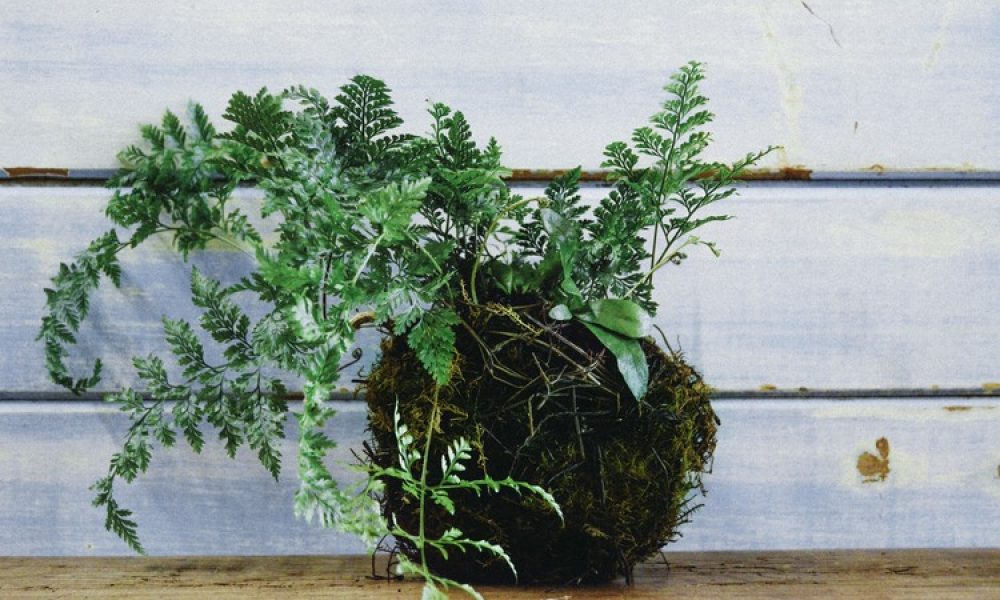 Image courtesy of vieillebranch.com.au