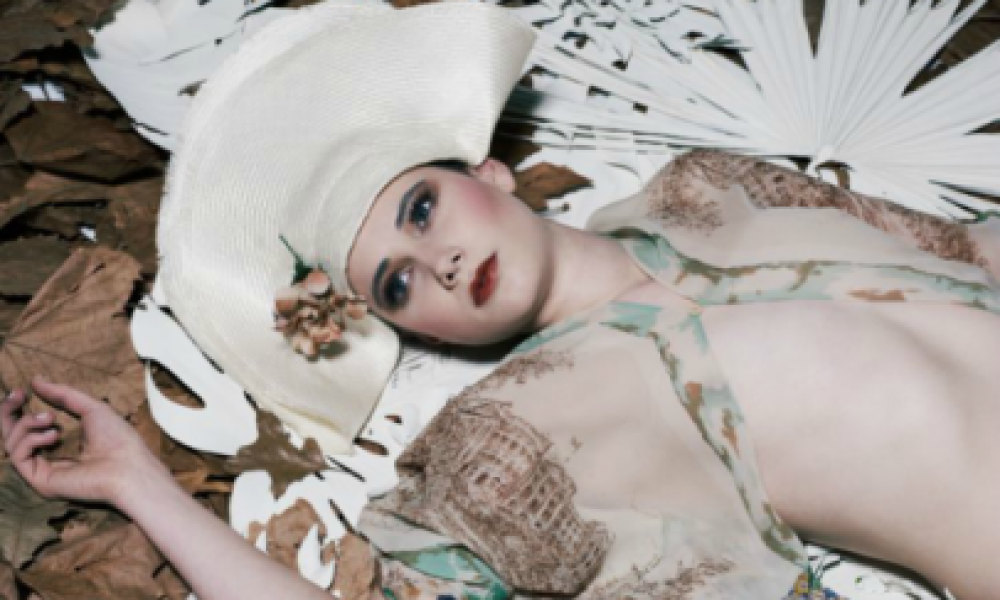 Project 3056 - Anna Cat