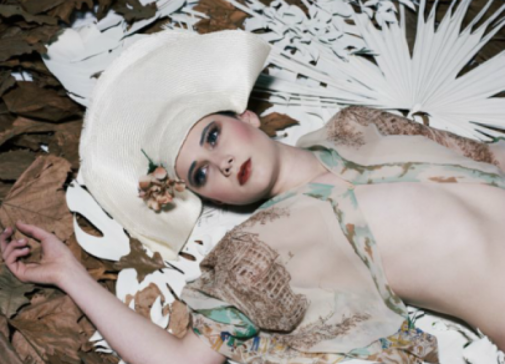 Project 3056 - Anna Cat