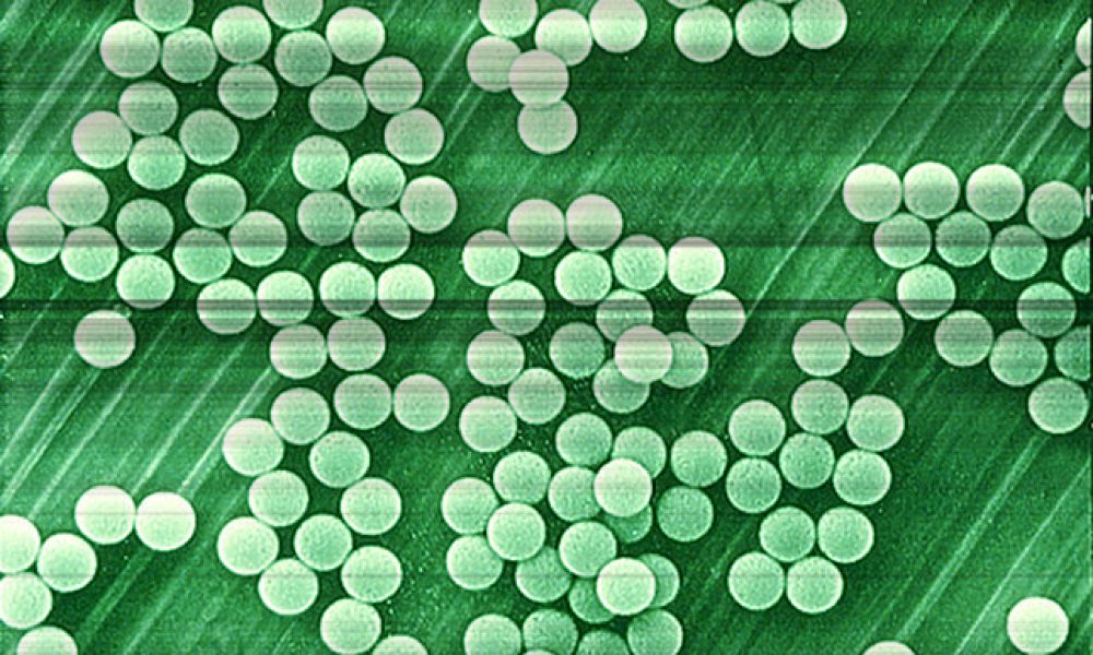 Image courtesy of Time.com