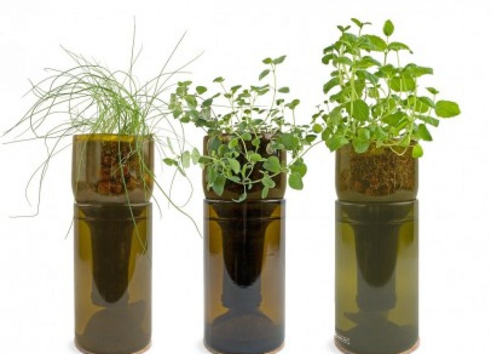 grow bottle