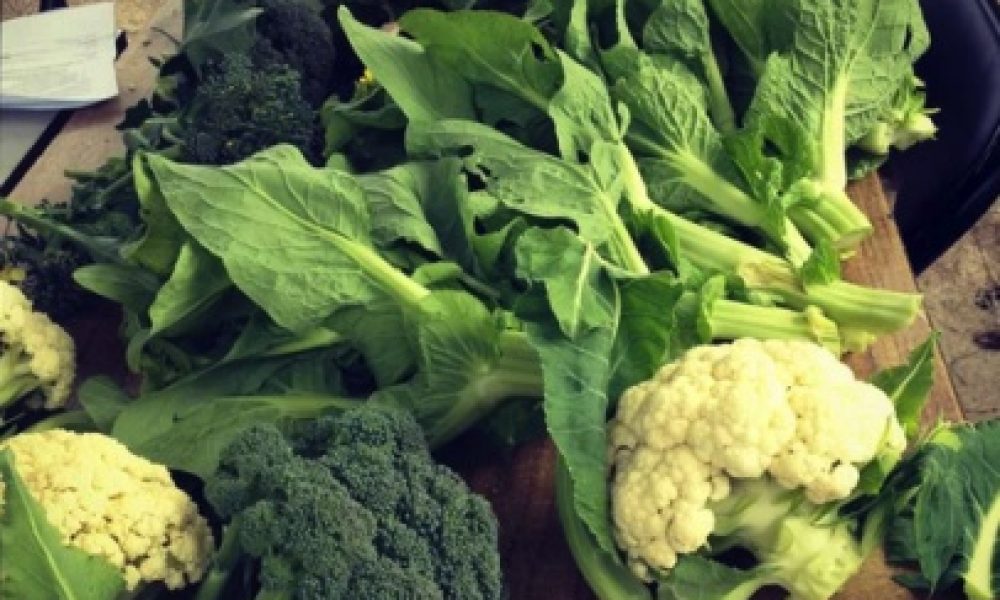 growing food project