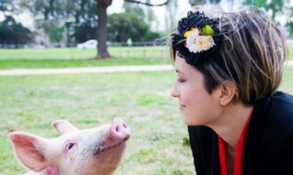 missy higgins make it possible