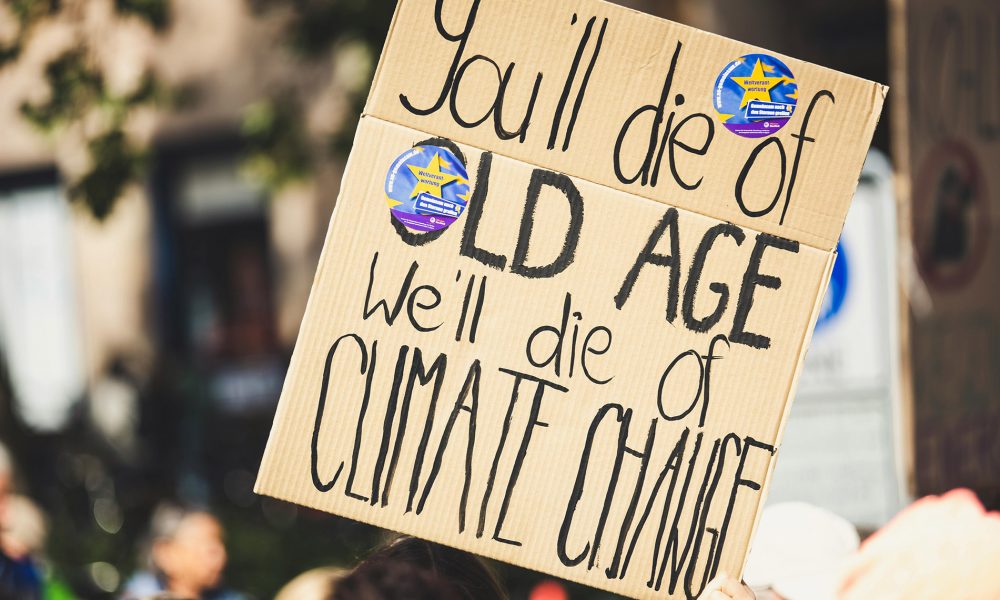 pexels-markusspiske-2990605