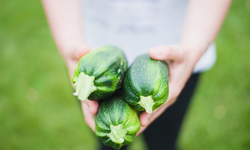 Crops in the city – Peppermint magazine