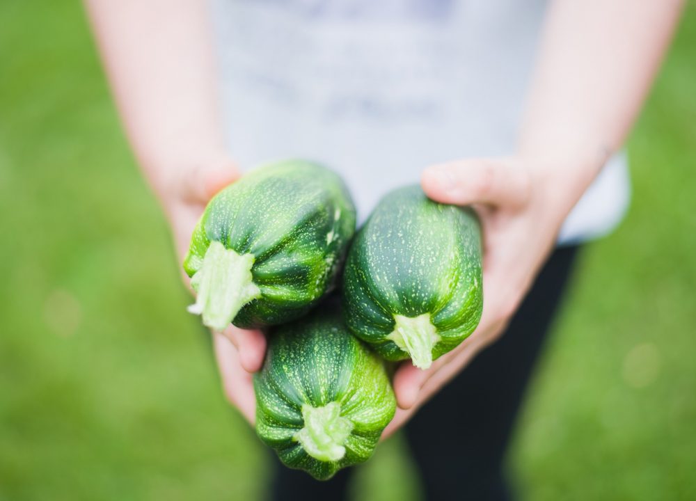 Crops in the city – Peppermint magazine