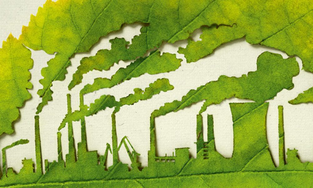 Plant for the Planet