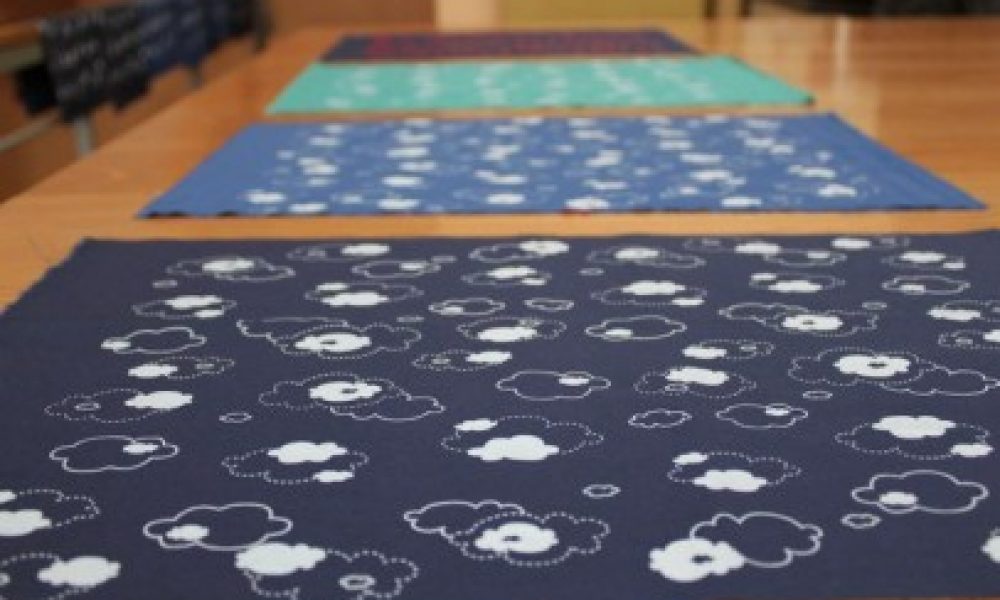 Nina teaching screen printing at Blue Sphere